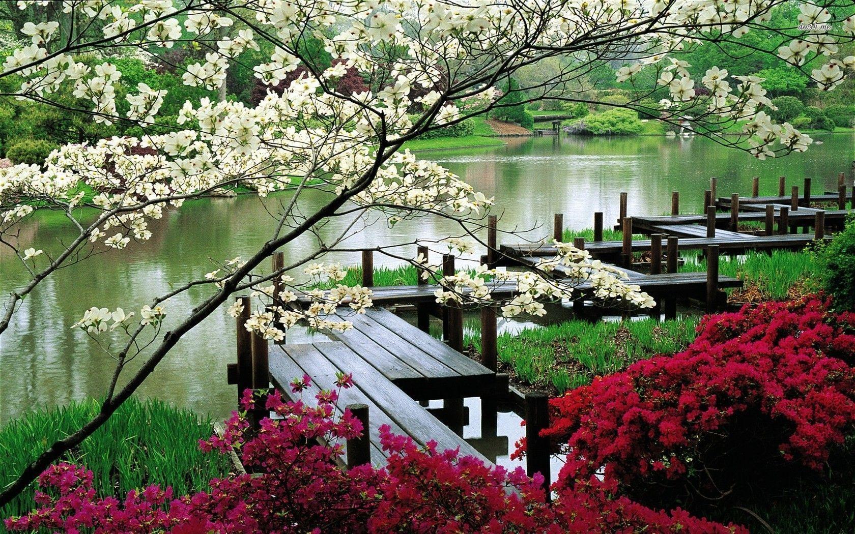 Japanese garden wallpaper
