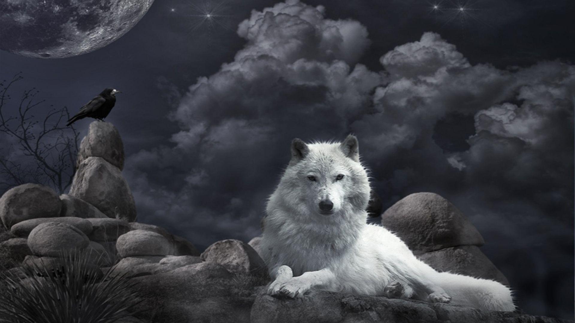 Wolf wallpaper 3d