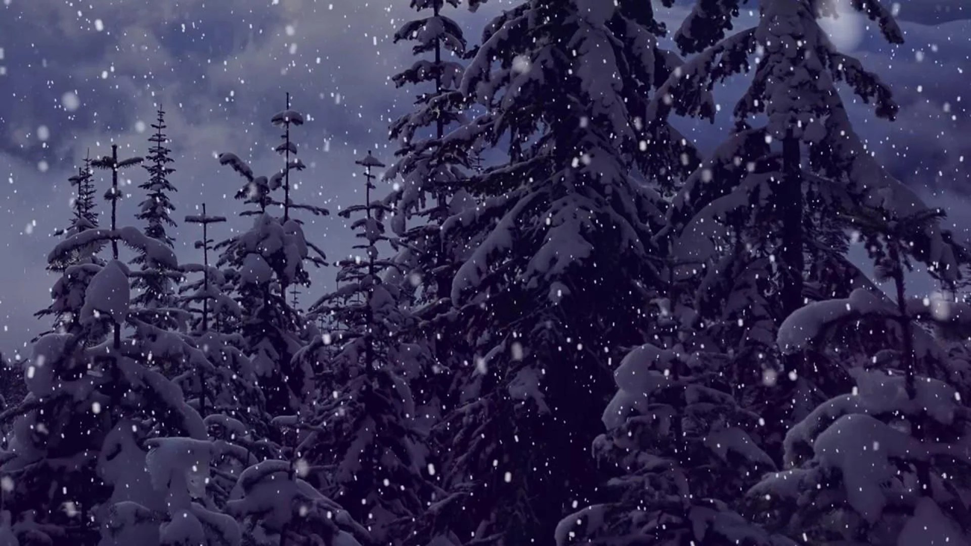 Winter aesthetic wallpaper