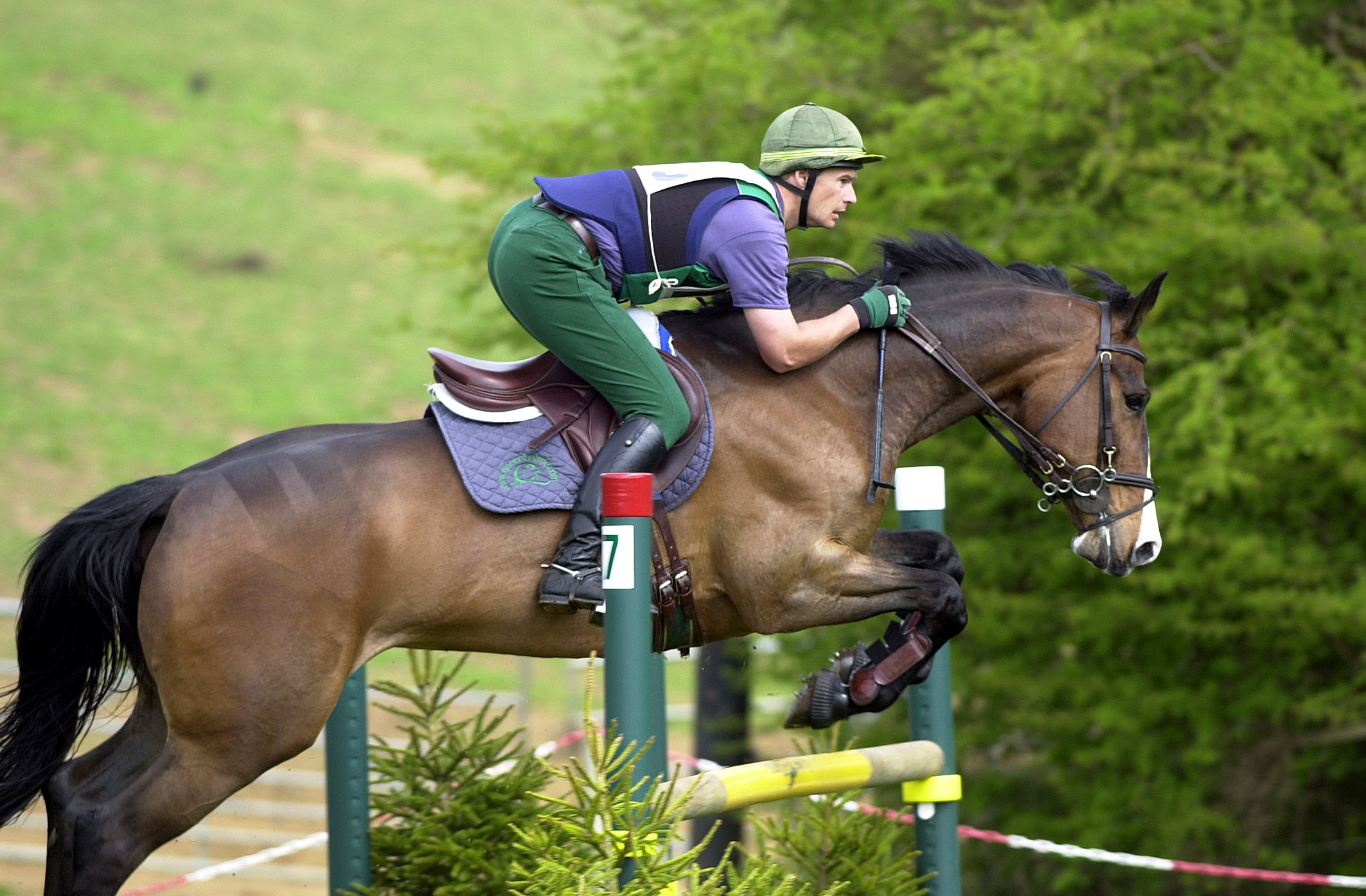 Show jumping wallpaper