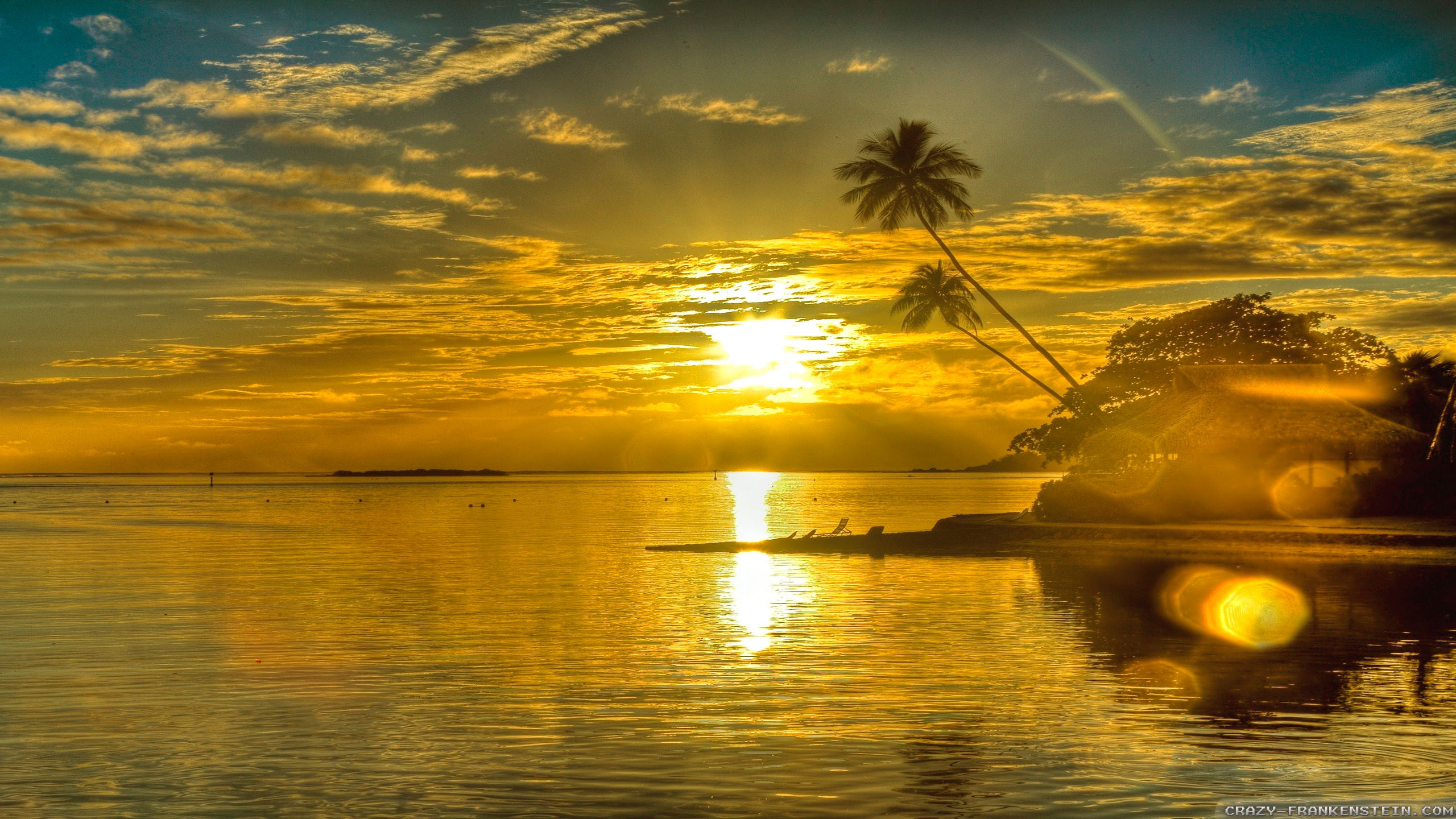 Summer sun wallpaper