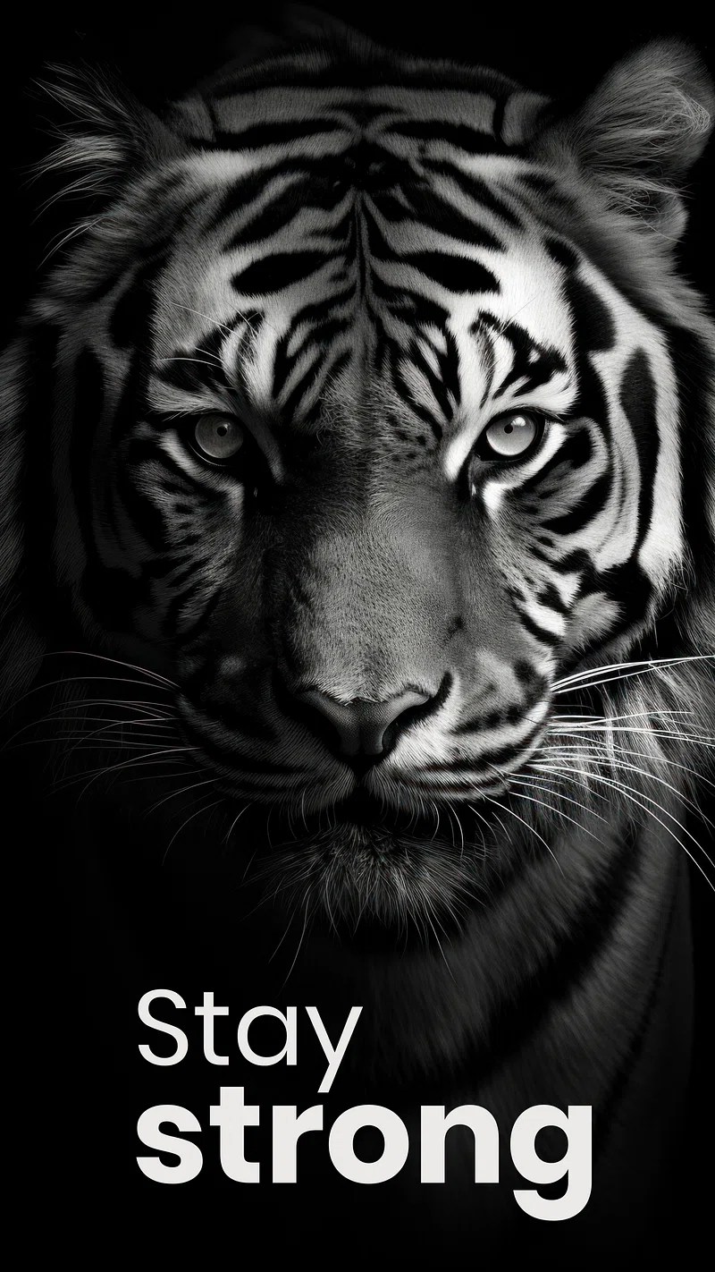 black screen wallpaper iphone