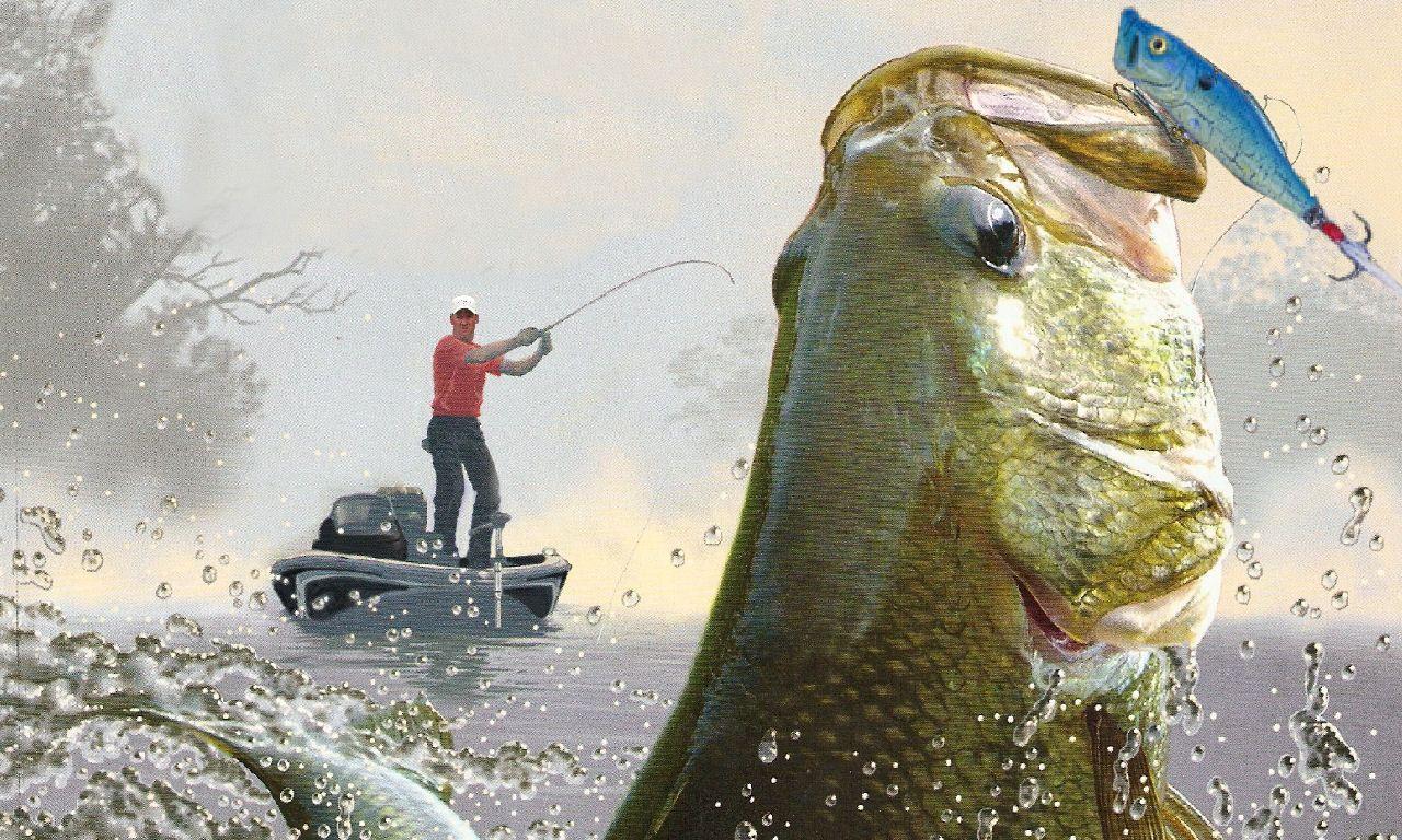 Bass fishing wallpaper