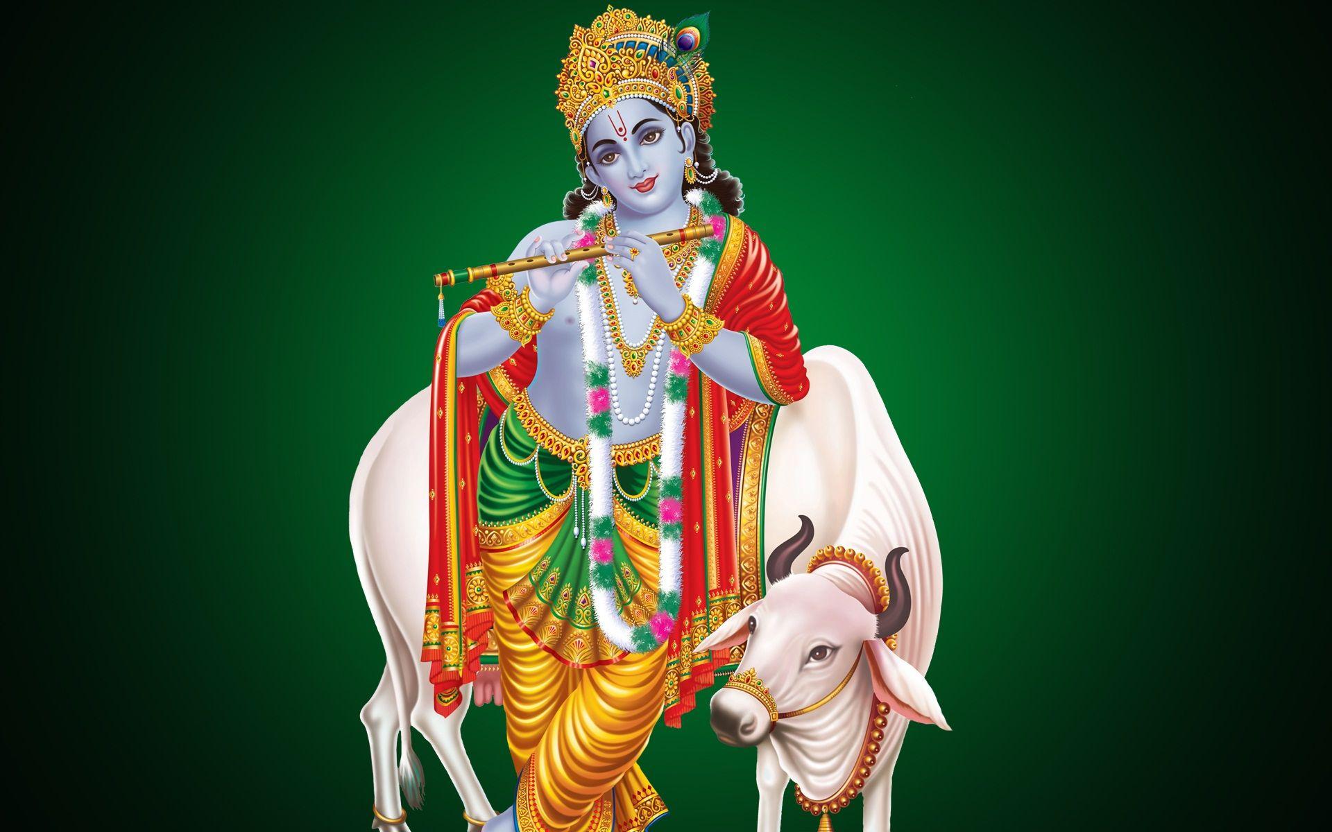 Picture of srikrishna