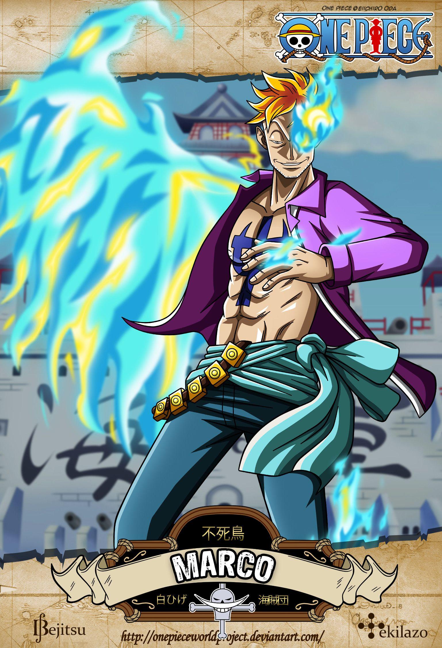Marco The Phoenix Wallpapers Wallpaper Cave