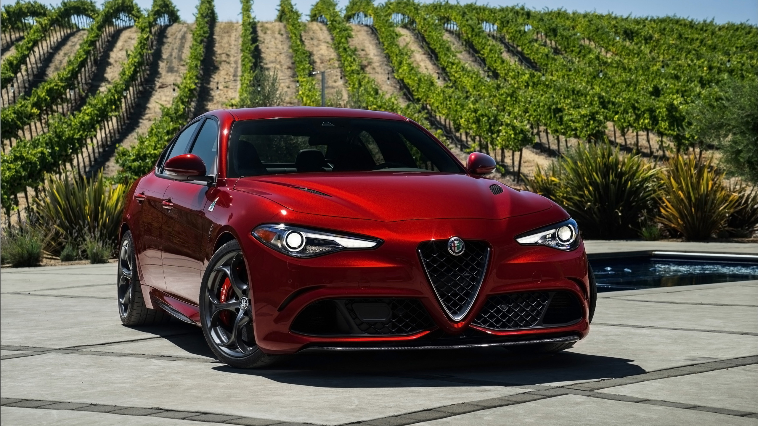Alfa romeo giulia wallpaper