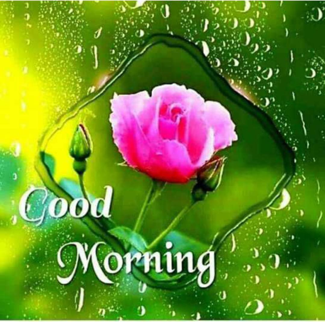 Good Morning Wallpapers Download - Wallpaper Cave Good morning pictures download free