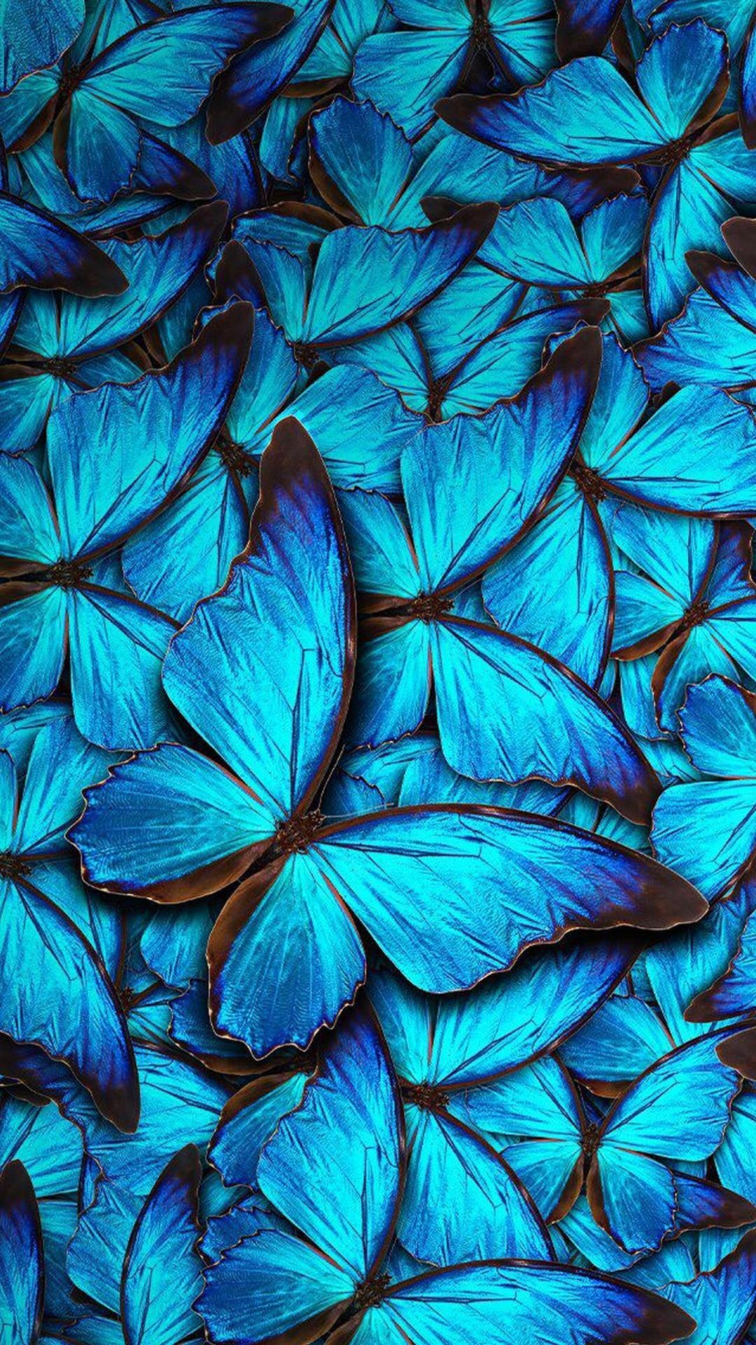 Wallpaper iphone butterfly