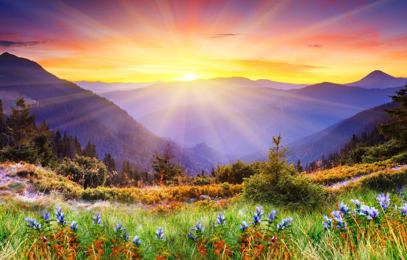 Фото члена 16 см