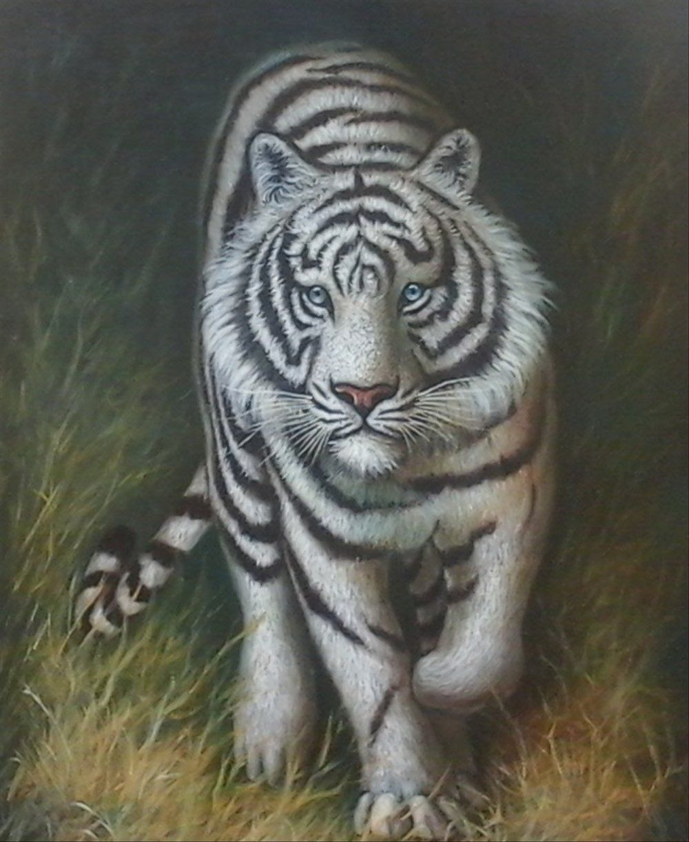 Macan Putih Siliwangi Wallpapers - Wallpaper Cave 1221_X_1000_jpg