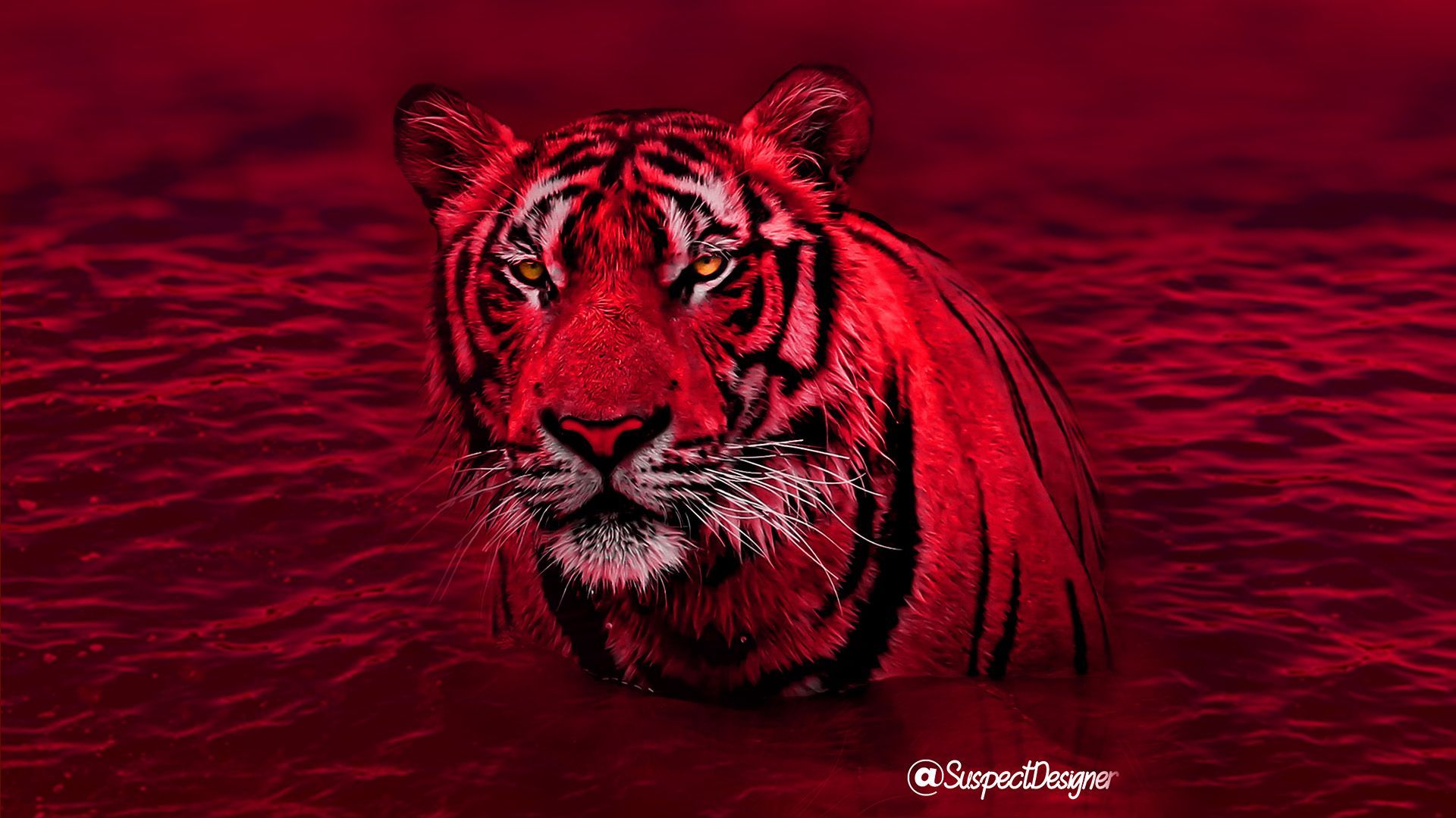 red tigers