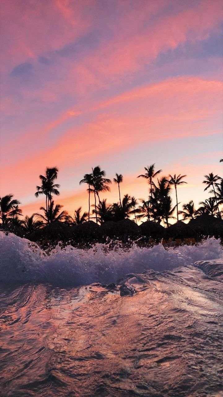 Aesthetic summer vibes wallpaper