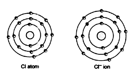 Give The Schematic Atomic Structures Of Chlorine Atom And Chloride Ion Snapsolve