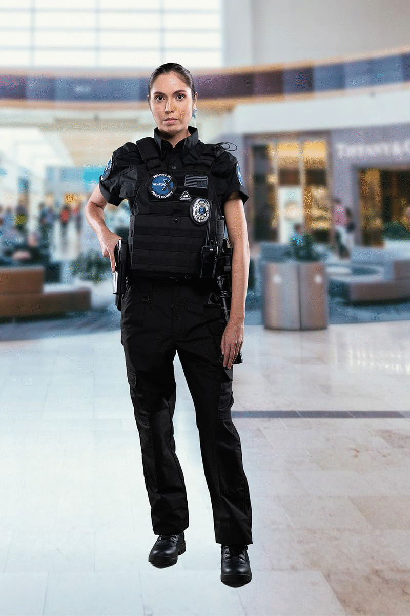 Armed security los angeles