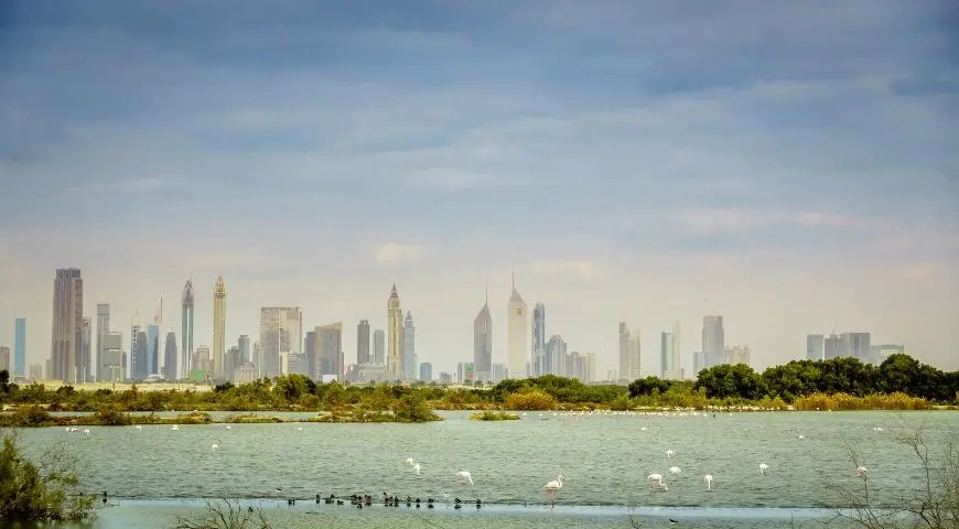 Hidden Gems: Unveiling The UAE’s Best-Kept Secret Landmarks
