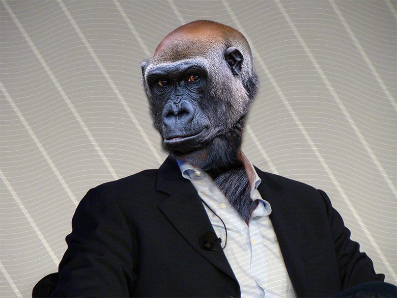 Drew goes “ape” with ApeWorld.com acquisition :DomainGang 2 Drew goes “ape” with ApeWorld.com acquisition :DomainGang
