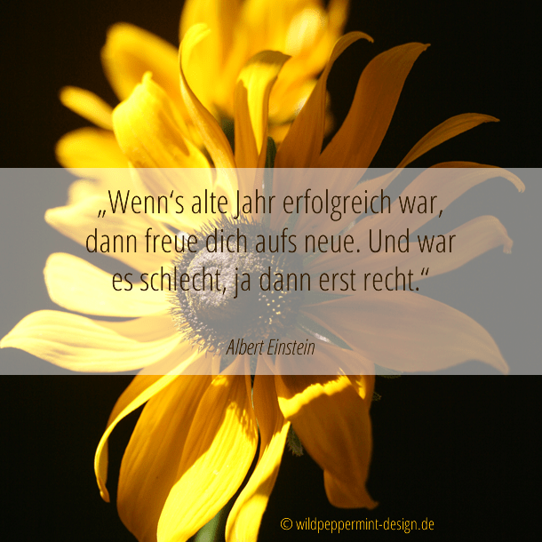 Einstein Zitate Neues Jahr Spruche Zitate Leben