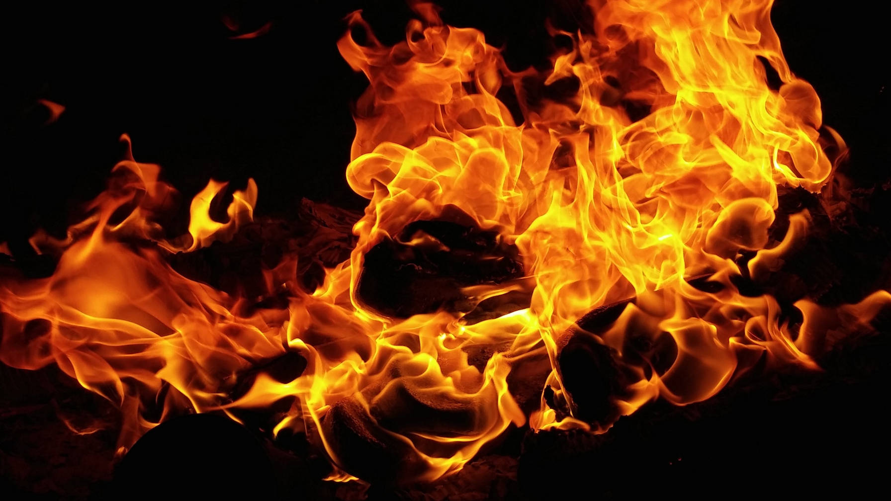 2020: Step Away From the Fire