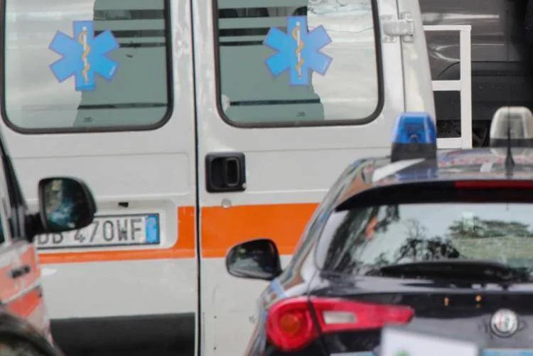 Incidente Lavoro, Autista Muore Schiacciato Dal Carico Di 300 Chili - Adnkronos.com 501_x_750_jpg