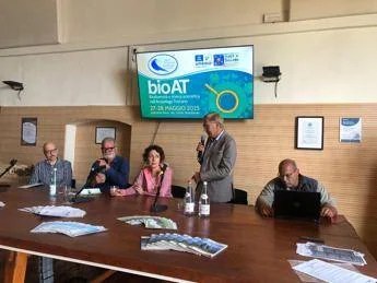 Il ritorno del barbagianni a Pianosa: una novità che lascia il segno nel mondo della natura? Il ritorno del barbagianni a Pianosa: una novità che lascia il segno nel mondo della natura?