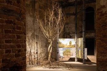 Pannelli Verdi: La Triennale di Milano e la Biennale dell’Architettura si Danno una Sistemata per Il Clima Pannelli Verdi: La Triennale di Milano e la Biennale dell’Architettura si Danno una Sistemata per Il Clima