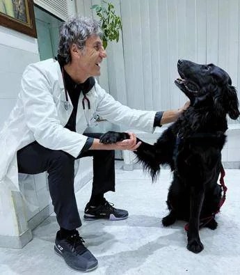 Nelle case degli italiani 8 milioni di cani, compagni ma anche un po' medici
