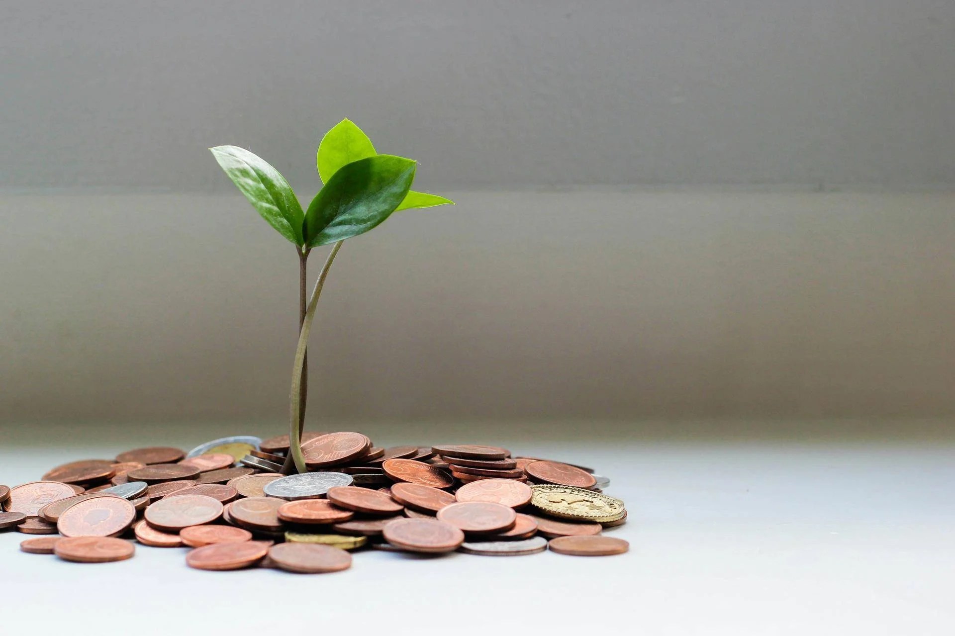 Conferenza europea della microfinanza e dell’inclusione finanziaria, quest’anno in Italia