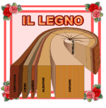 Tecnologia 1ª Scuola Media | Aiutodislessia.net 154_x_150_png