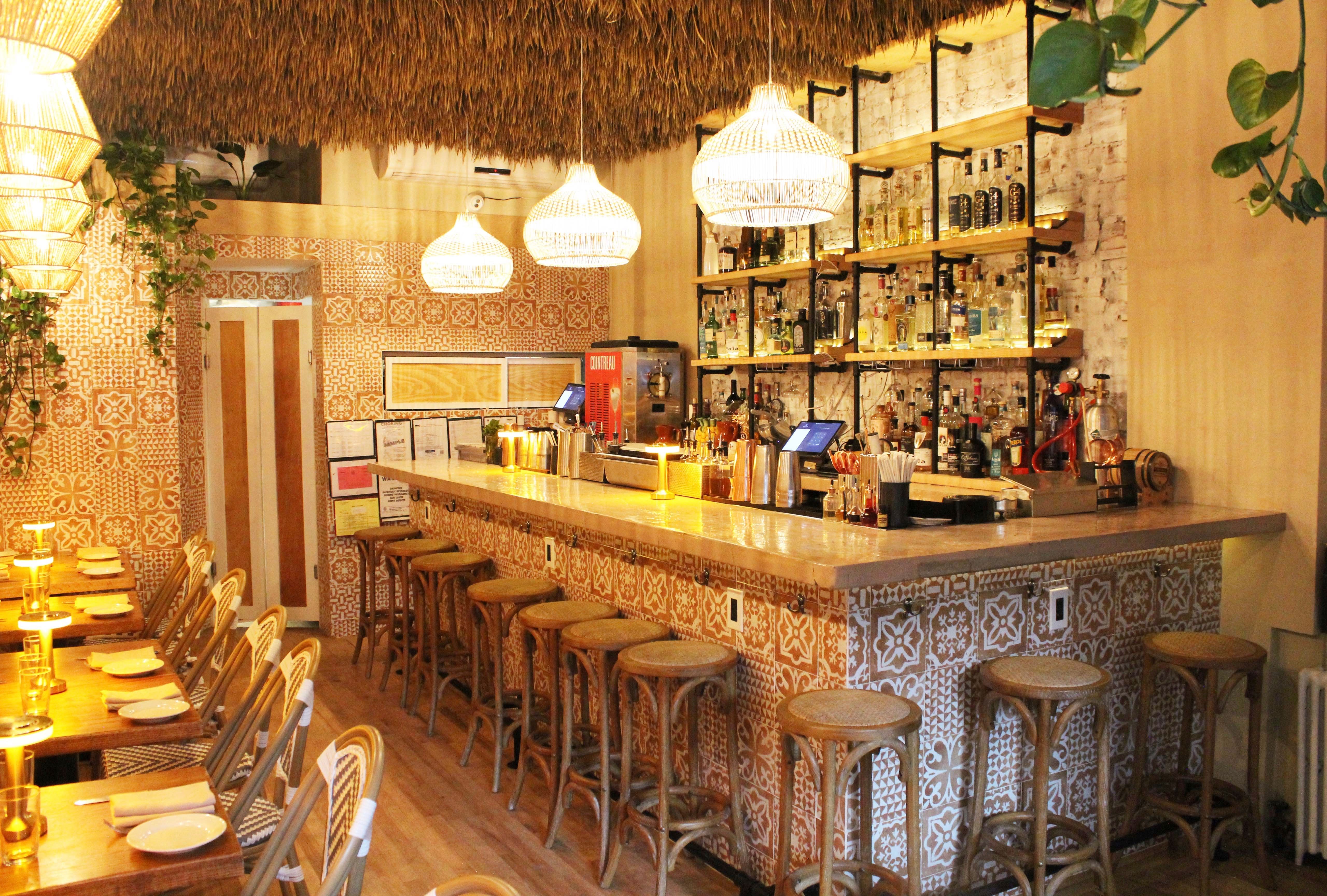 Vallarta Tropical: A Love Letter