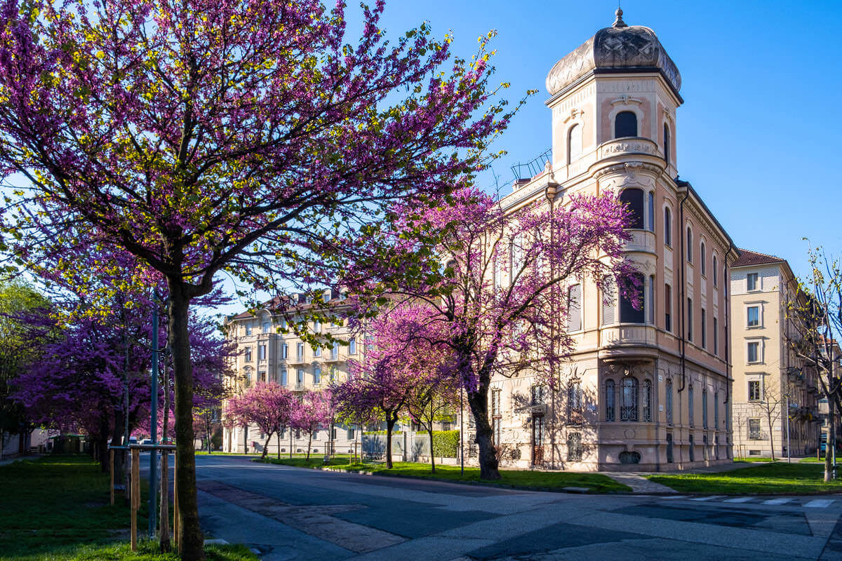 Garden Palace - Appartamento Con Piscina, Torino | Arcase 800_x_1200_jpg