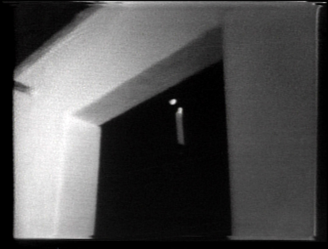 Bill Viola. Electronic Renaissance - Arshake 800_x_1054_jpg