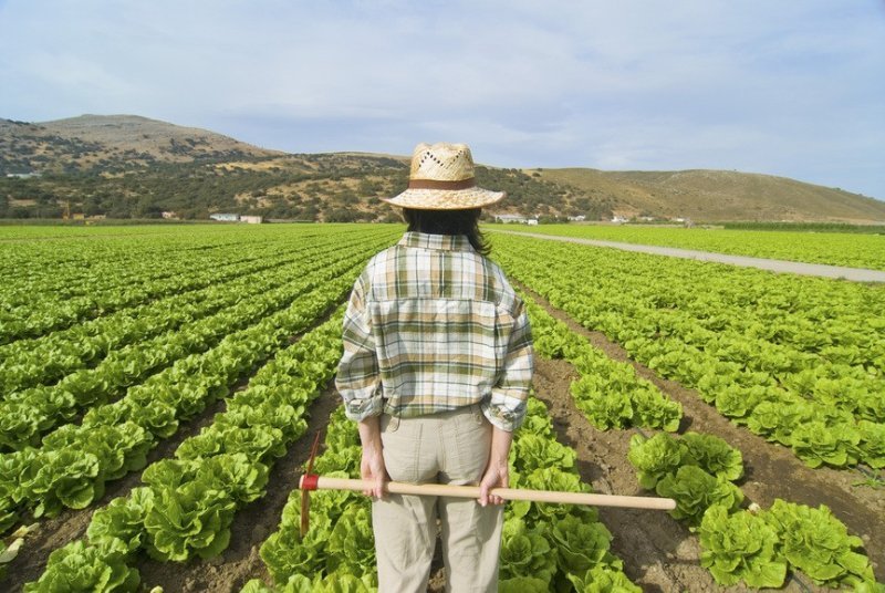 Corso Iap - Imprenditore Agricolo Professionale - Assiform 536_x_800_jpg