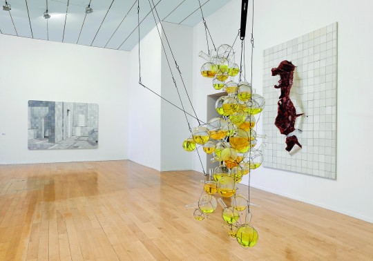 Actu Deco Imagine Brazil Au Musee D Art Contemporain De Lyon Atelier Germain
