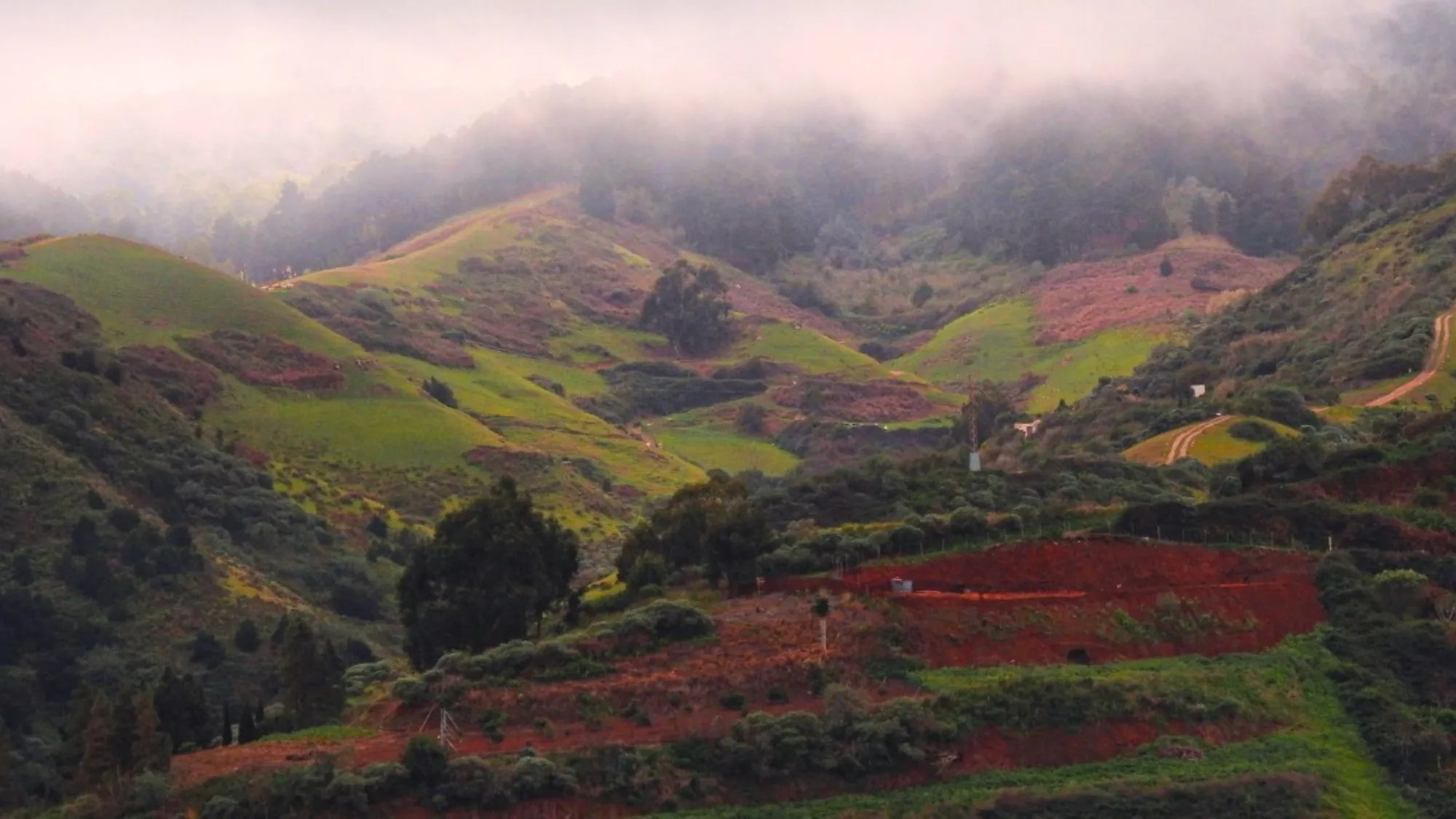 The Hiking Trail That Resembles an Irish Postcard but Lies in the Heart of the Canaries