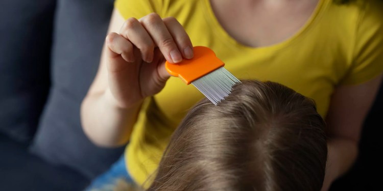 No Myths or Miracles: The Definitive Guide to Tackling Lice and Nits