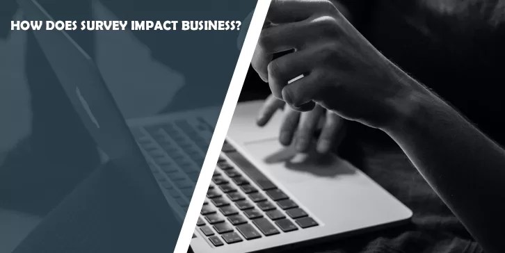 How Does Survey Impact Business? – How Does Survey Impact Business? –