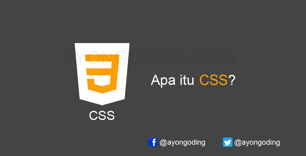 Pengertian CSS: Apa yang dimaksud dengan CSS? - Ayo Ngoding