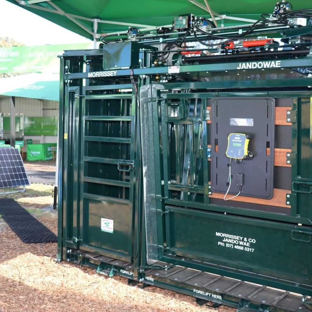 Bright idea: World-first solar-powered cattle crush at FarmFest