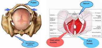 Apa dan Bagaiman Ketika Kepala Bayi Belum Masuk Panggul ? - Bidan Kita