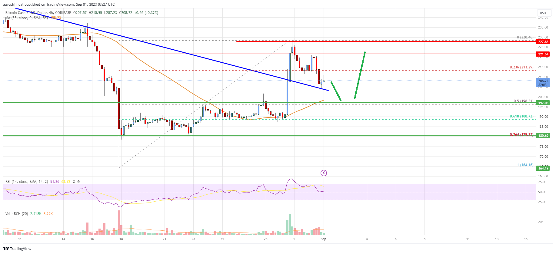 Bitcoin Cash Analysis: Bulls Struggle Near $230 12 Bitcoin Cash