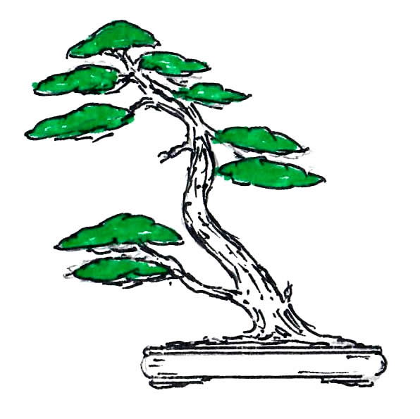 Bonsai For Everyone