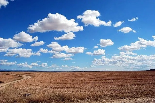 Il Diritto Di Prelazione Sui Terreni Agricoli - Studio Legale Berti E Toninelli 428_x_640_jpg