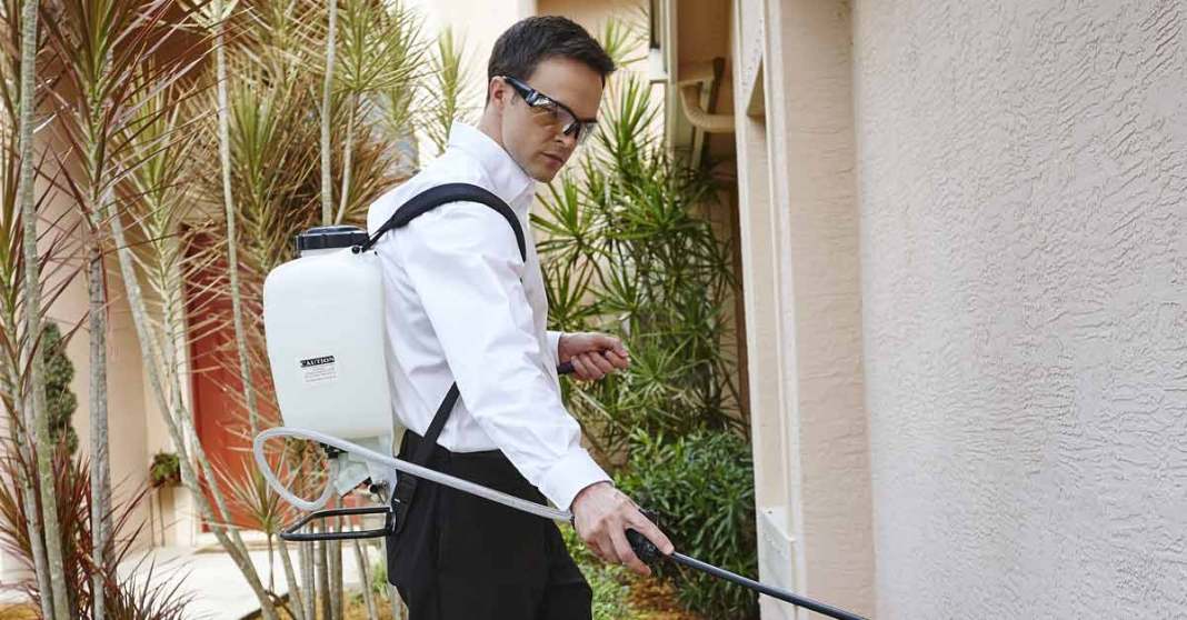 Top 6 Strong Reasons Why Do You Need Routine Pest Control Service?