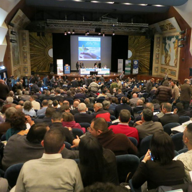 Formazione & E-Learning – Cesar 800_x_800_jpg