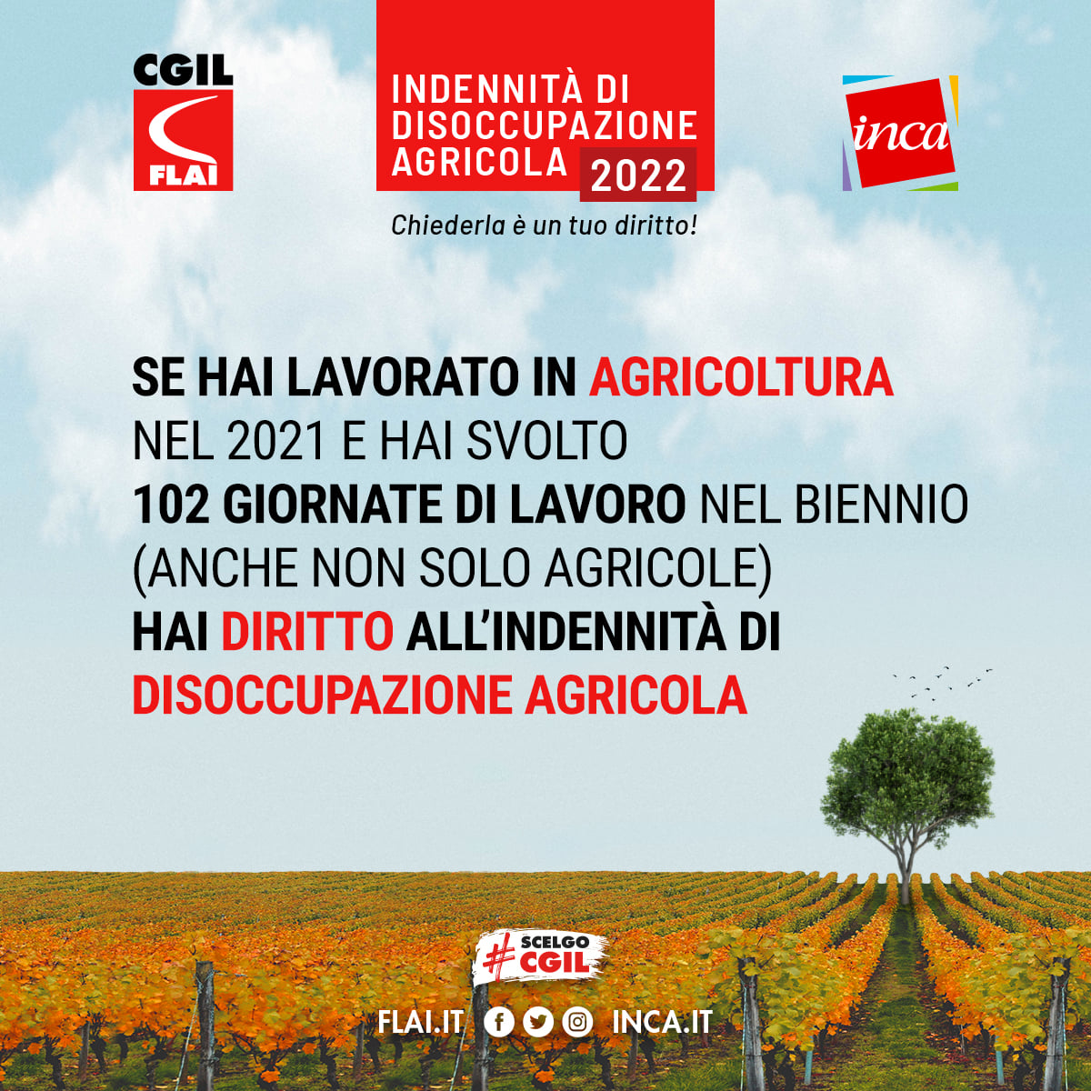 Homepage | Cgil Imola 1200_x_1200_jpg