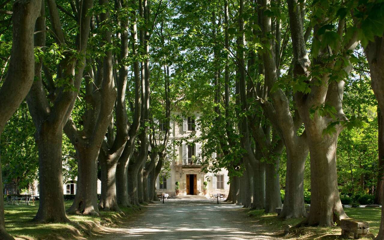 Château des alpilles
