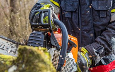 Corso Operatore Forestale - Avanzato | Cisi School 234_x_374_jpg