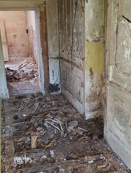 Traitement mérule - Expert mérule - Constructis 95 - Ile de France