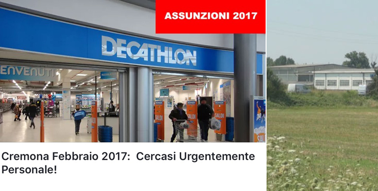 Decathlon A Gadesco, Partita La Ricerca Di Personale Sui Siti Di Lavoro - Cremonaoggi 390_x_770_jpg