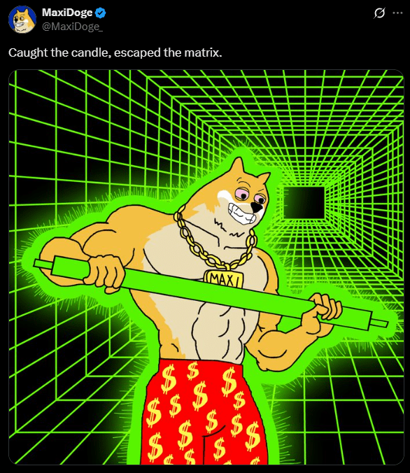 Maxicoge